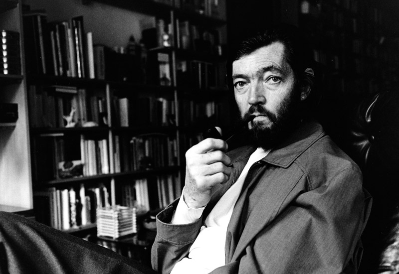 Julio Cort&aacute;zar 